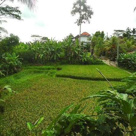 Mandala Hostel Ubud Екстер'єр фото