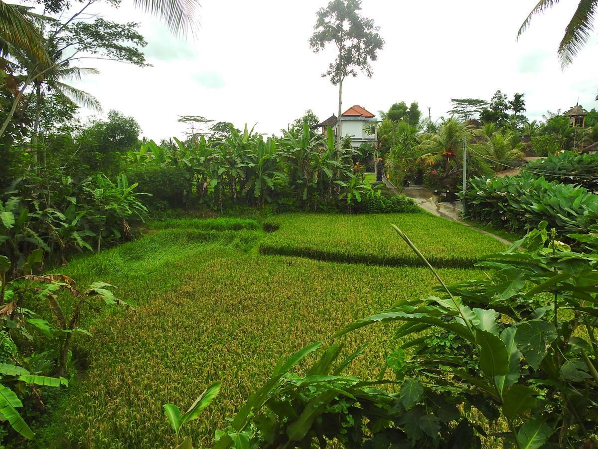 Mandala Hostel Ubud Екстер'єр фото