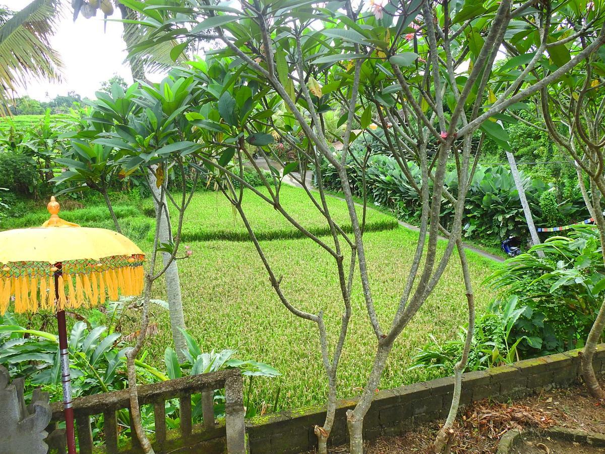 Mandala Hostel Ubud Екстер'єр фото