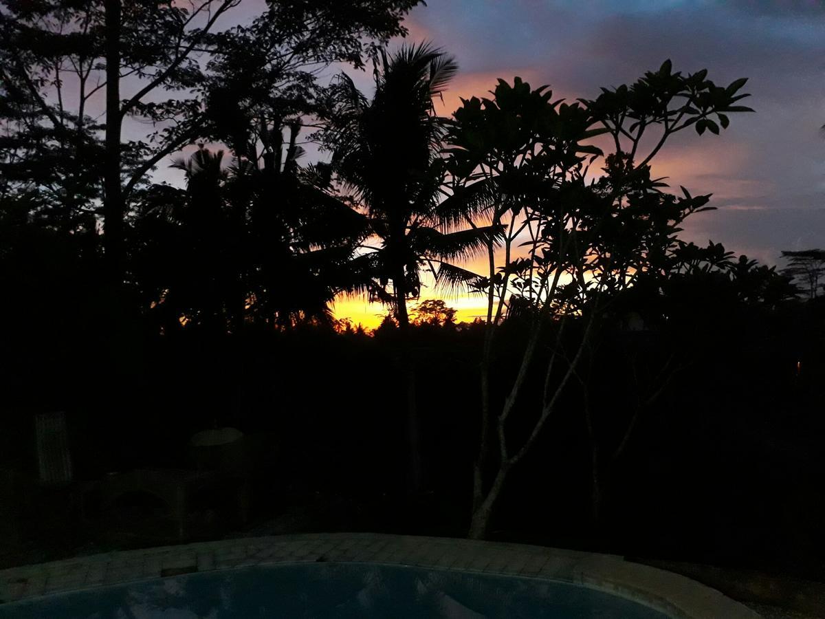 Mandala Hostel Ubud Екстер'єр фото
